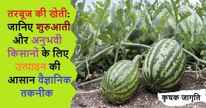 Watermelon Cultivation in Hindi: जाने तरबूज कैसे उगाएं