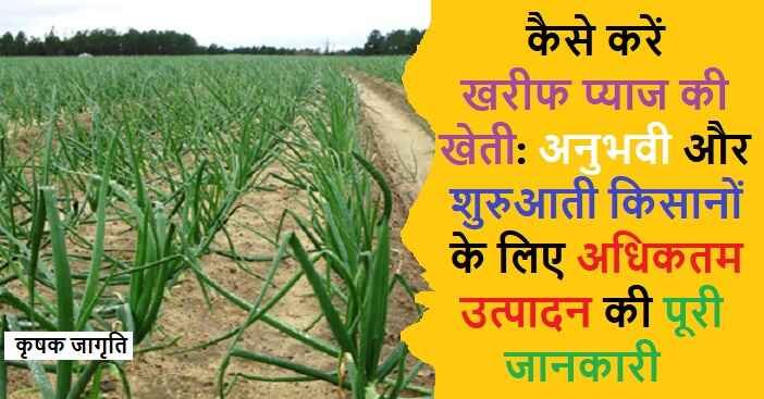 Kharif Onion Farming in Hindi: जाने खरीफ प्याज कैसे उगाएं