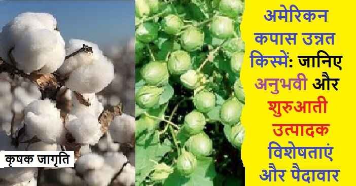 American Cotton Varieties in Hindi: नरमा कपास की किस्में