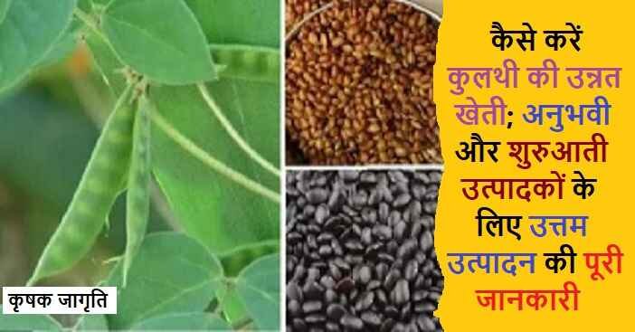 Horse Gram Cultivation in Hindi: कुलथी की खेती कैसे करें